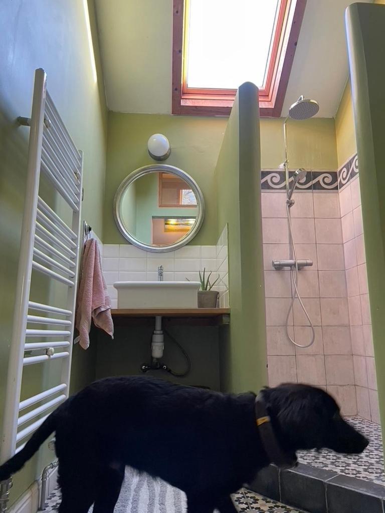 La Bruyere Du Coq Stables Guest House Sart-Dames-Avelines ภายนอก รูปภาพ